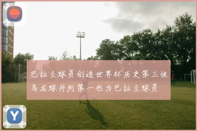 巴拉圭球员创造世界杯历史第三快乌龙球并列第一也为巴拉圭球员